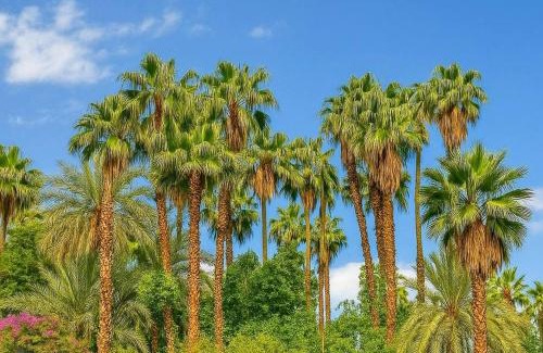 Majorelle Apartamento | Vue sur le Jardin Majorelle - Balcon Privé, Calme & Élégance