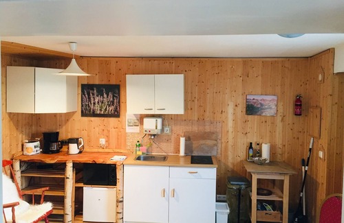 Hirschhorn Apartamento | W3. Neckarblick, nature, old town, former supply house of Hirschhorn Castle.