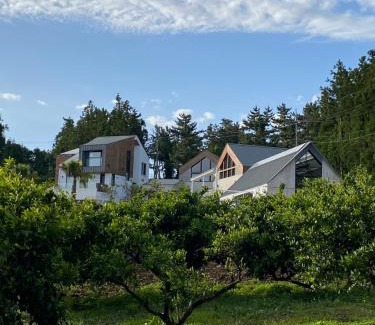 Jungmun Cabina | Walden Studios