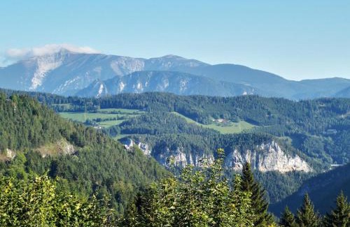 Semmering Apartamento | Waldnest am Semmering