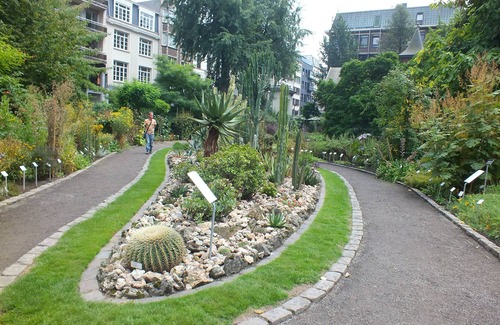 Jewish Quarter Apartamento | Walking Distance to Grote Markt! Family-friendly Property, City Views & Kitchen!