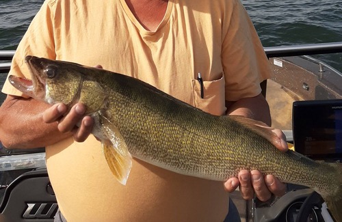 Penn Casa | Walleye and perch Capitol of North Dakota also duck and goose hunting