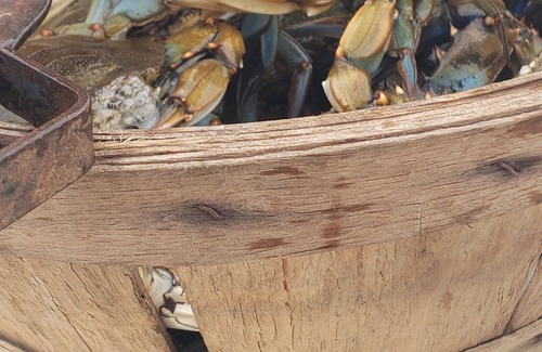 Fort Howard Cabaña | Waterfront cottage on the Chesapeake Bay located 5 minutes from two state parks.