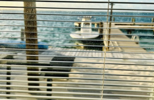 Alice Town Cabaña | Waterfront Cottage in a Bimini oasis