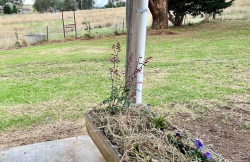 Mandurama Cabaña | Wattle Cottage