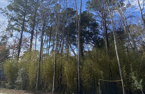 Spanish Wells Casa | Wavecation Hilton Head