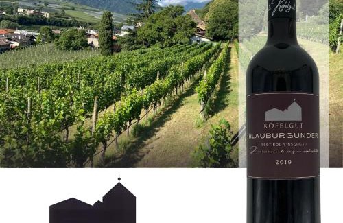 Castelbello-Ciardes Apartamento | Weingut Köfelgut - Turris Vini