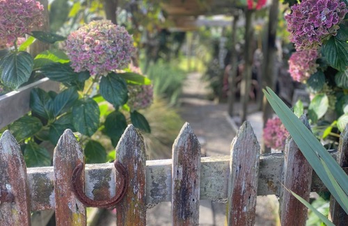 Nukuhou Cabina | Weka cabin, great views