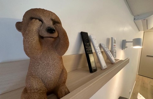 Dickson Apartamento | Welcome Home in Canberra - Mulberry