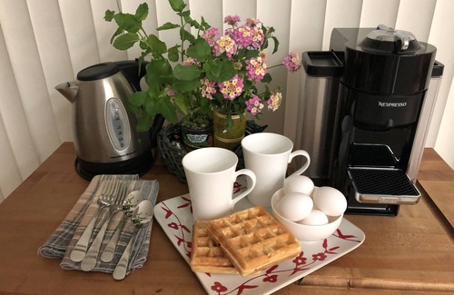Desert Palms Casa | ¡Bienvenido a Bougainvillea Desert Retreat!