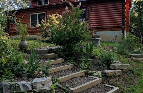 Fletcher Cabina | ¡Bienvenido a Winghaven y Asheville! Aislado pero conveniente para tiendas y comida