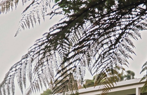 Westport Hotel | Westport Motor Hotel