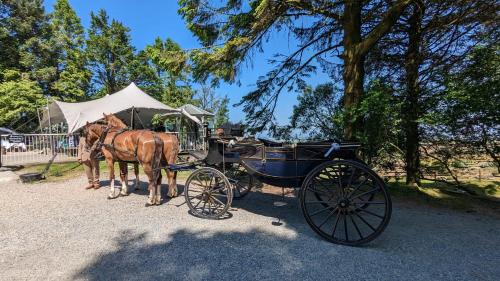 Pensilva Cabina | Wheal Tor Hotel & Glamping