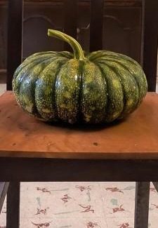 Thiruvananthapuram Casa | White Butterfly - A Countryside Homestay