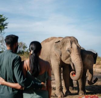 Bophut Hotel | Wild Cottages Elephant Sanctuary Resort