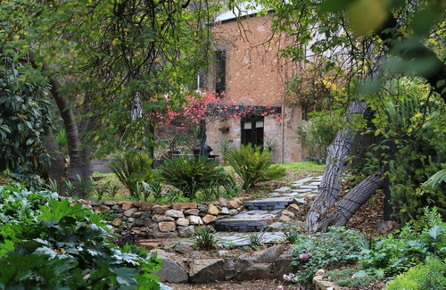 Upper Wakefield Cabaña | Wild Olive Cottage Clare Valley