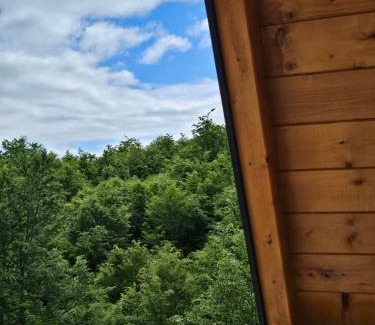Kolasin Municipality Chalet De Esquí | Wilderness Cabin