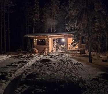 Rovaniemi Casa | Wilderness Cabin Onnela with sauna