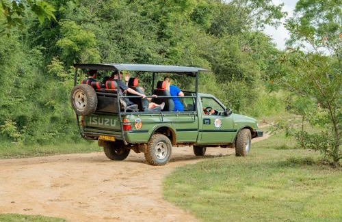 Nochchiyagama Cama Y Desayuno | Wilpattu Safari Resort