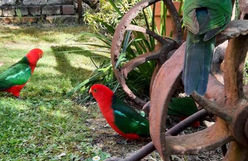 Walhalla Cama Y Desayuno | Windsor House B&B