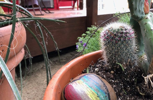 Temecula Casa | WIne Country Farm Stay; Clásico Retro Glamping!