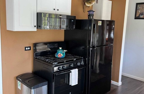 Lake Delton Cabina | Wisconsin Dells Cabin en el bosque