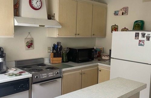 Borrego Springs Condominio | With EV charger -Mid Century Modern Close to Hiking, Golf,&Stargaze on the patio