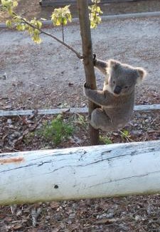 Lower Boro Casa | Wolf Ridge - Farm Stay