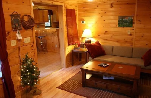 Del Rio Cabina | Wolfcreek Cabañas y / Aislado y romántico / hidromasaje / Acre Bordeando Bosque Nacional de Hot