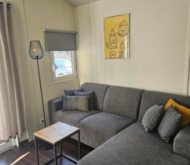 Gasselte Complejo | Woodcabin op de Lente van Drenthe