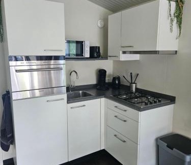 Gasselte Complejo | Woodcabin op de Lente van Drenthe