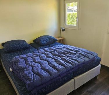 Gasselte Complejo | Woodcabin op de Lente van Drenthe