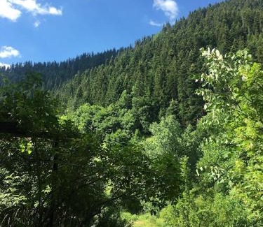 Smolyan Casa | Yakusha - Якуша, къща за гости