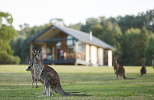 Yering Apartamento | Yering Gorge Cottages