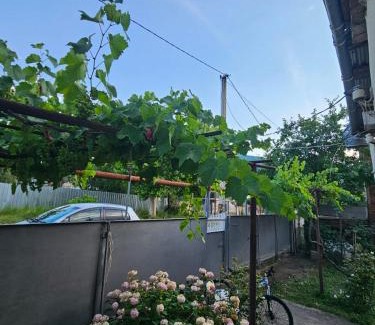 Ambrolauri Casa | Your corner in Racha შენი კუთხე რაჭაში
