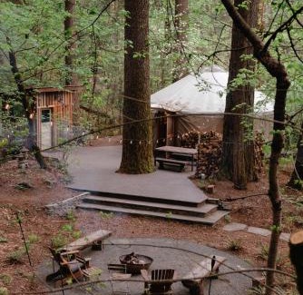 Nevada City Otro | Your private Yurt in the woods - Nevada City