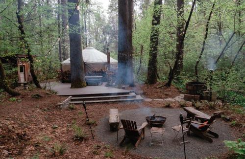 Nevada City Otro | Your private Yurt in the woods - Nevada City