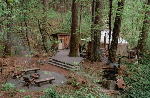 Nevada City Otro | Your private Yurt in the woods - Nevada City