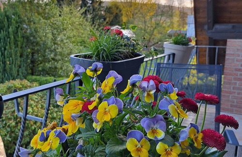 Extertal Apartamento | Your vacation address in the beautiful, hilly Teutoburg Forest