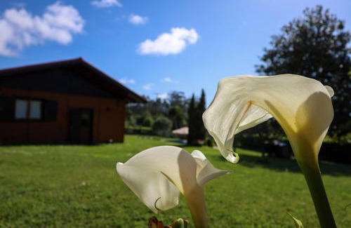 Bueu Villa | YourHouse Lar de Lagos