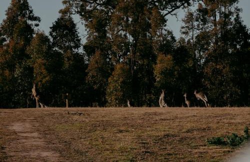 Mount Marsden Otro | Yutori Retreat - Private Sauna, Ice bath and Gym