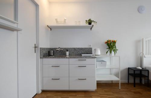 Hard Apartamento | Zürich City Reizendes tiny Studio Albisriederplatz