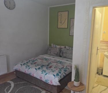 Zrenjanin Apartamento | Zen apartman 8