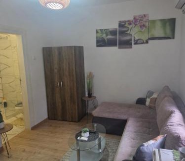 Zrenjanin Apartamento | Zen apartman 8