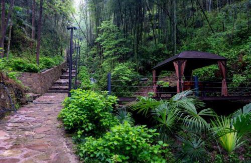 Wulingyuan Casa | Zhangjiajie Rock language art hotel-Free pick up service