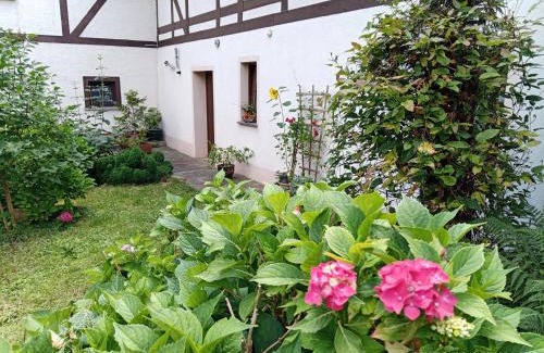 Dresden Casa | Zimmervermietung