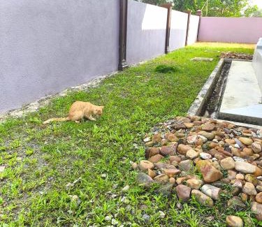 Kampong Raja Casa | ZIYA Homestay