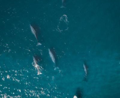 Mazunte Hotel | ZOA Hotel - Adults Only