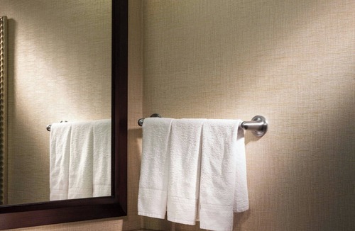 Grapevine Hotel | SpringHill Suites by Marriott Dallas DFW Airport N/Grapevine