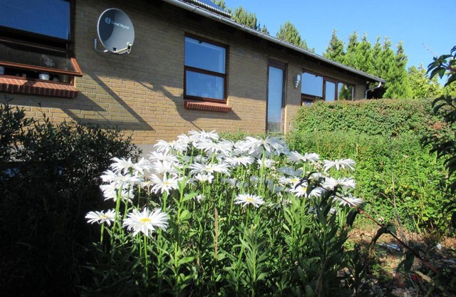 Æbelø-guidens B&B
